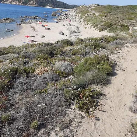 Casa Rosa Nel Mirice Con Piscina ,wifi,climatizzatore - Vicino Al Mare Vakantiehuis Aglientu