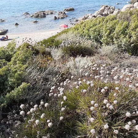 Prázdninový dům Casa Rosa Nel Mirice Con Piscina ,wifi,climatizzatore - Vicino Al Mare Aglientu