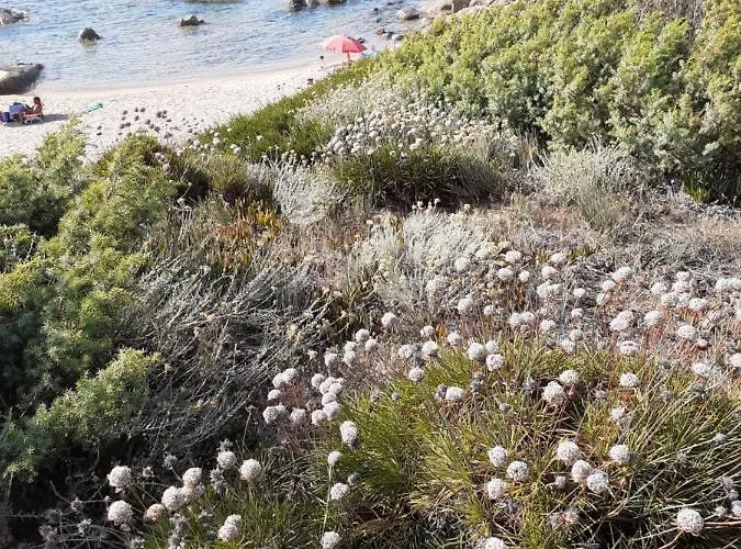 Nyaraló Casa Rosa Nel Mirice Con Piscina ,wifi,climatizzatore - Vicino Al Mare Aglientu