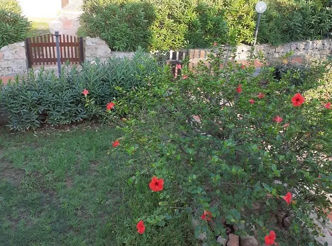 Casa Rosa Nel Mirice Con Piscina ,wifi,climatizzatore - Vicino Al Mare Hébergement de vacances *